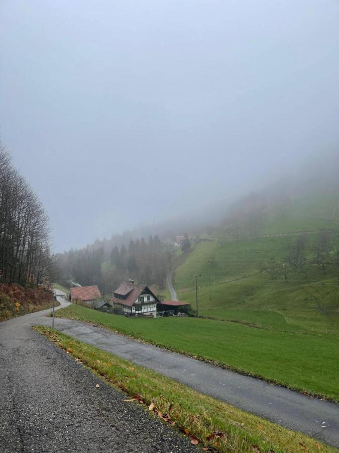 Einzigartiges Apartment, Mitten In Der Natur Ottenhofen im Schwarzwald Exterior photo